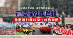 河南哪家少林武校好？