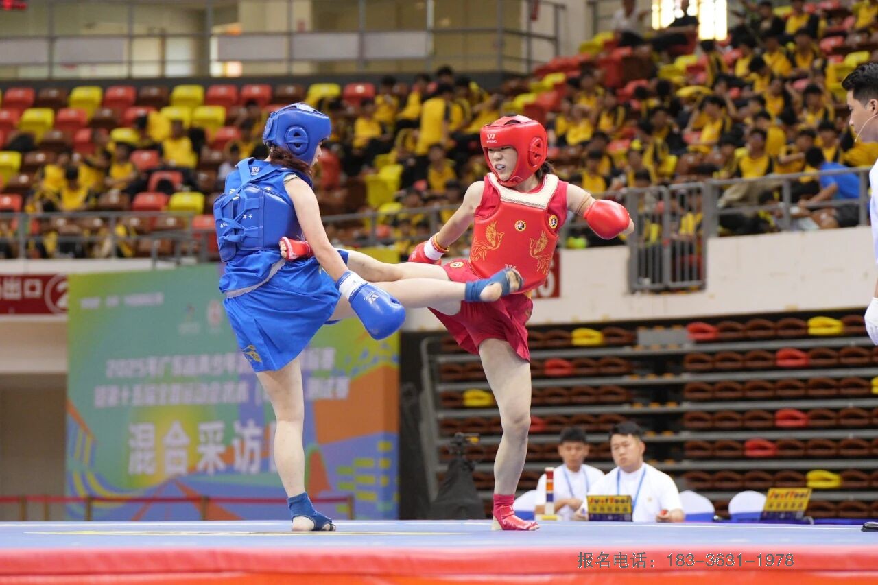 少林小龙武校竞训散打队 征战广东省青少年武术散打锦标赛载誉而归