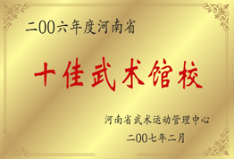 河南十佳武术馆校
