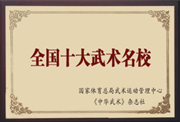 全国十大武术名校